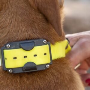 Benefits of remote dog training collars 4 pet care hub