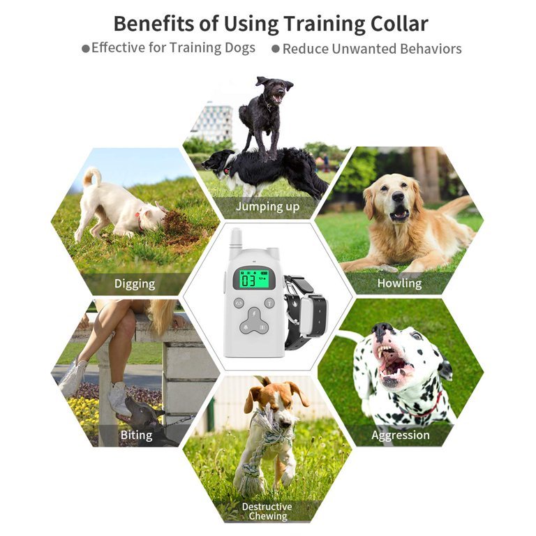 Benefits of Remote Dog Training Collars