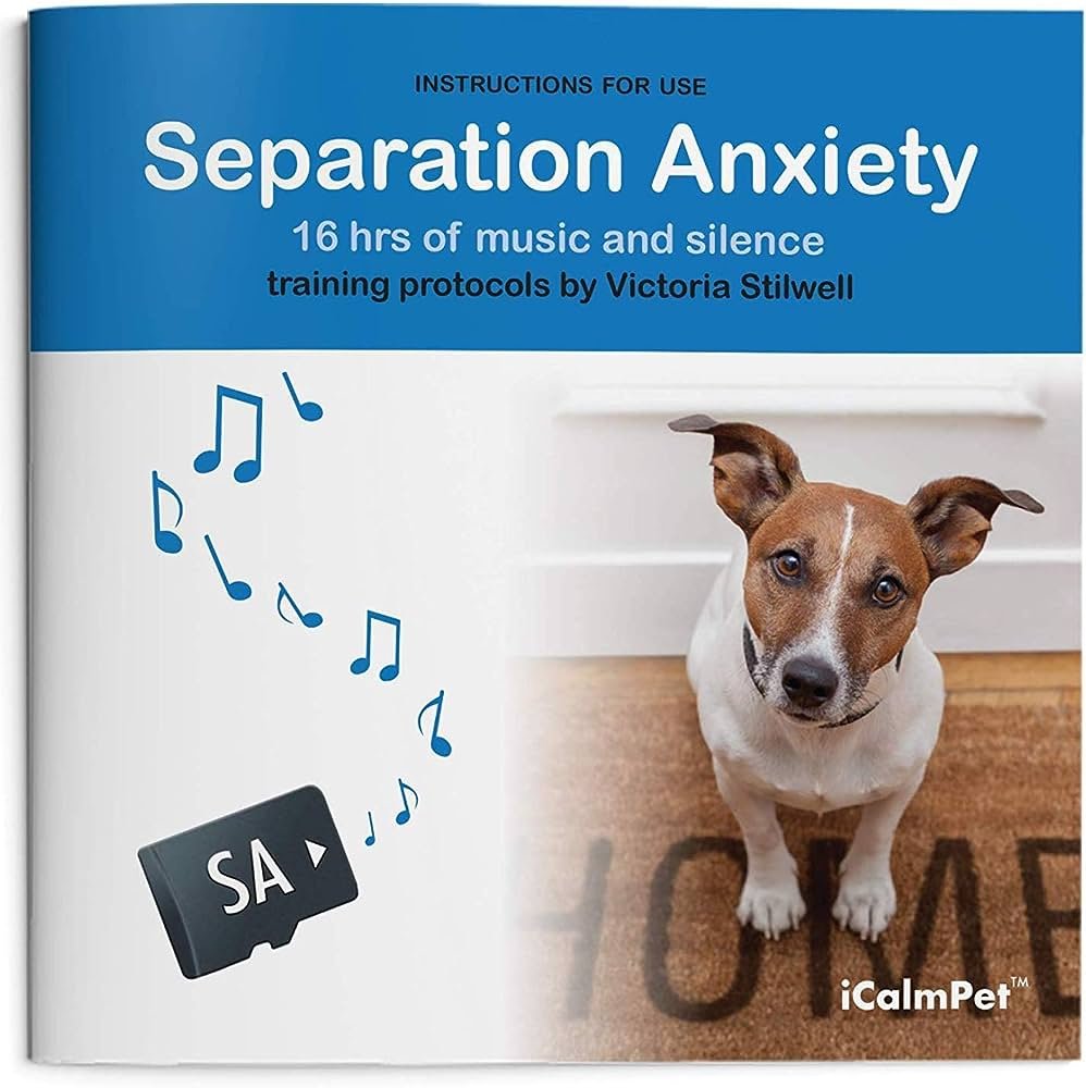 Dog Training Products for Separation Anxiety