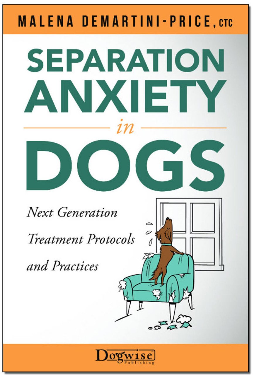 Dog Training Products for Separation Anxiety